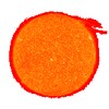 Planetarium