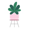 Plants Insights