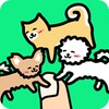 Play With Dogs