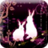 Plus Theme Fantasy Dense Forest