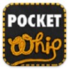 PocketWhip