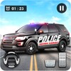 Police Cops And Bank Robbers