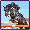 Police Horse Training 3D