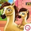 Pony And Newborn Baby Caring