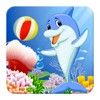 Pool Dolphin Show