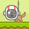Poop Dog