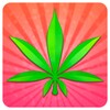 Pot Profit