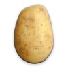 Potato