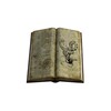 Powerful Magic Spells