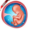 Pregnancy Baby Weekly Tracker
