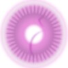 Pregnancy Disc