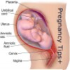 Pregnancy Tips In Hindi