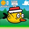 Pretty Bird