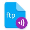 Primitive FTPd