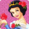 Princess Memory Cards