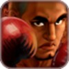 Pro 3D Boxing