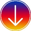 Pro Story Saver Instagram