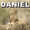 Profecias De Daniel