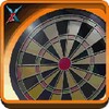 Professional Darts 3D