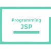 Programming With JSP