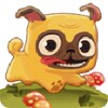 Pug Run
