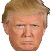 Punch Trump