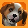 Puppy Parlour