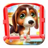 Puppy Pet Daycare