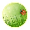 Pure Nature Free Live Wallpaper