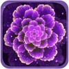 Purple Flowers