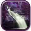 Purple Nature