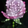 Purple Rose Sparkle Live Wallpaper