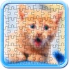 Puzzle Cats And Kitty