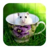 Puzzle - Cute Hamsters
