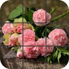 Puzzle - Flowers