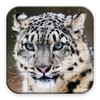 Puzzle - Wild Animals