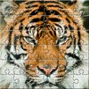 Puzzle Zoo