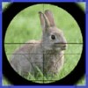 RABBIT HUNTER 3D