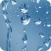 Rain On Screen (free)
