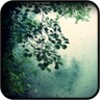 Rain Wallpapers