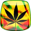Rasta Weed Live Wallpaper