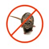 Rats Repeller V2.0