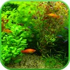 Real Aquarium 3D Wallpaper