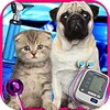 Real Pet