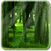 RealDepth Forest Free Live Wallpaper