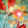 Red Leaf For Galaxy S4