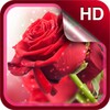 Red Roses Live Wallpaper HD