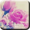 Regal Roses