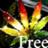 REGGAE LOVE+PEACE Trial