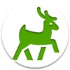 Reindeer